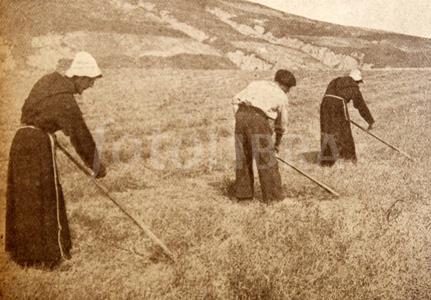 Fourth is the importance of securing strategic resources.Franco always said securing Wheat was as important as securing cities.Most rural/white/working-class areas will side w/ the Right, but there will be struggles over other important industries, factories, & raw materials.