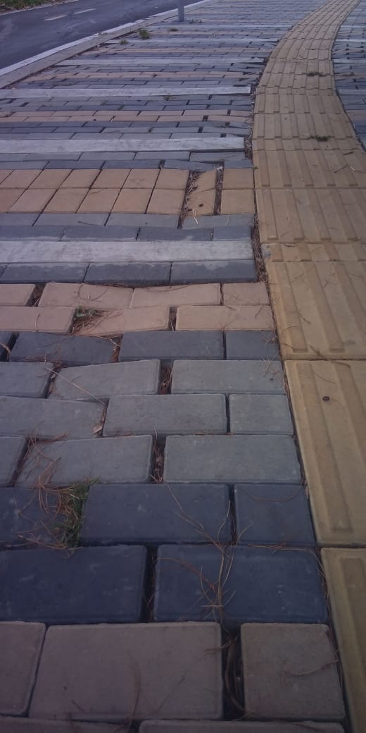 maferojas's tweet photo. Al exalcalde Peñalosa le quedaron faltando en sus trinos estas fotos sobre las obras del parque Juan Amarillo. Hundimientos y escalonamiento en adoquines y losetas, grietas expuestas y sellamientos (para maquillar) mal ejecutados. En zonas INUNDABLES del humedal. Su sello propio. https://t.co/rsczL1ibp6