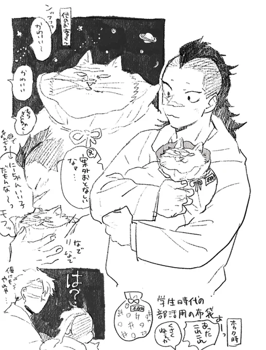 保護したときキャリー持ってなかったので臨時でこういうの入れたとかいう 