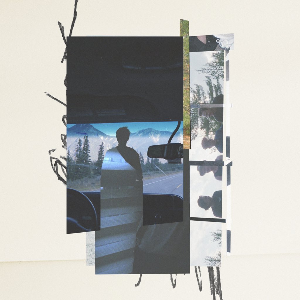 Birds of Bellwoods tweet media