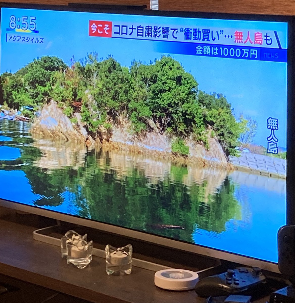 しゅが あつ森 Redvelvetjully Twitter