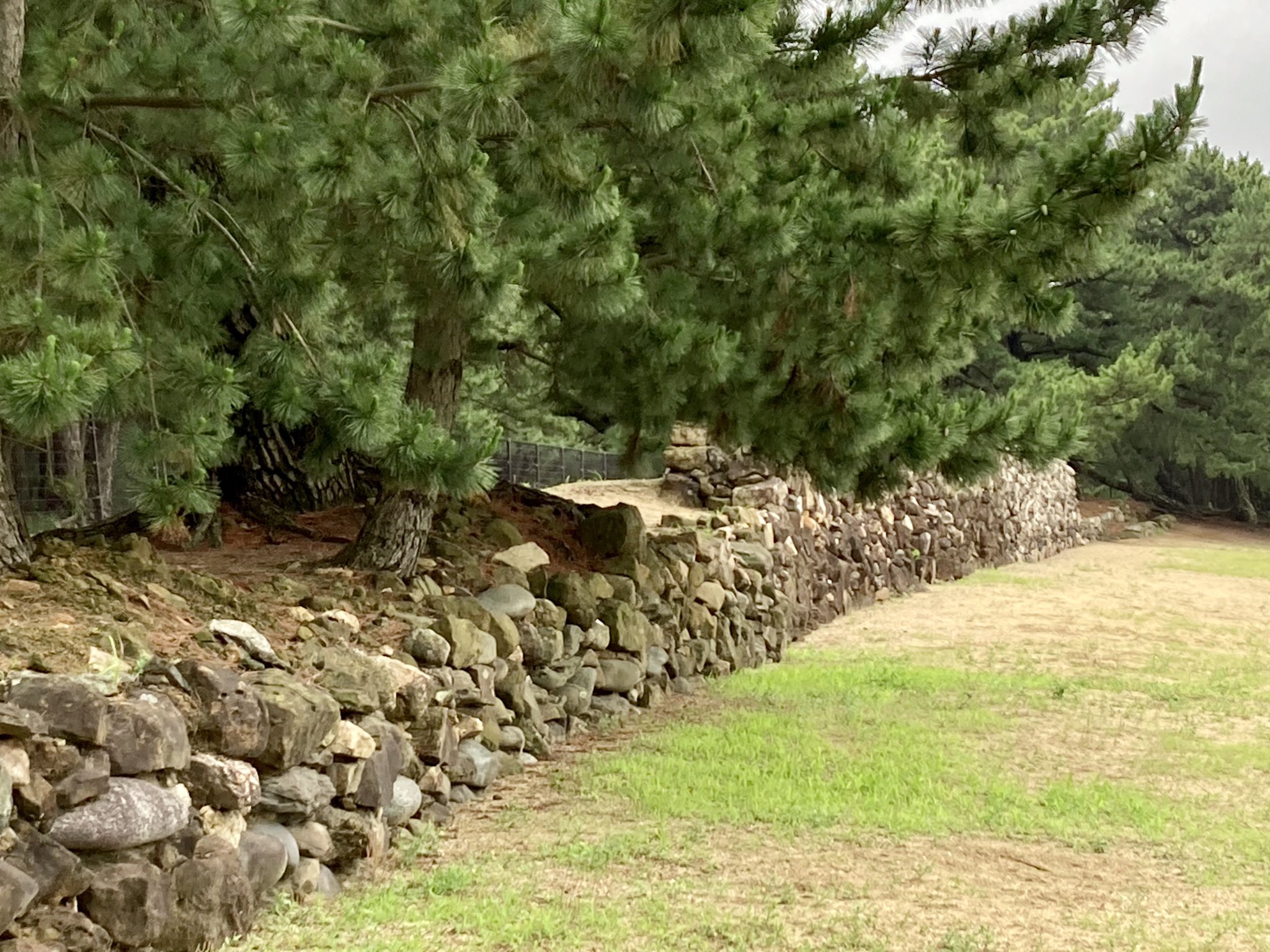 K Fukuda 元寇防塁 鎌倉時代に元の襲来に備えて 博多湾を中心とした九州北部各地に築かれた石塁 福岡市西区の生の松原にある防塁の一部が発掘調査の上 復元されています T Co N3f6aqjgof Twitter K Fukuda 元寇防塁 鎌倉時代に元の襲来に備えて 博多湾を中心とした九州北部各地に築かれた石塁 福岡市西区の生の松原にある防塁の一部が発掘調査の上 復元されています T Co N3f6aqjgof Twitter