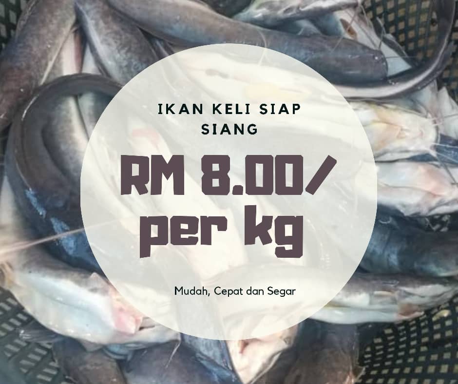 M_AfiqSyahir's tweet image. Hi geng! My cousin ada buat bisnes Ikan Keli hidup &amp;amp; siap siang area Batu Pahat! Sesiapa yg berminat, boleh ws/call no beliau ye. Boleh refer pic utk senarai harga dan COD!
KakCik : 011-1766 3123

Thanks!
RT please!
#BatuPahat #YongPeng #SriMedan #ParitSulong #TongkangPechah