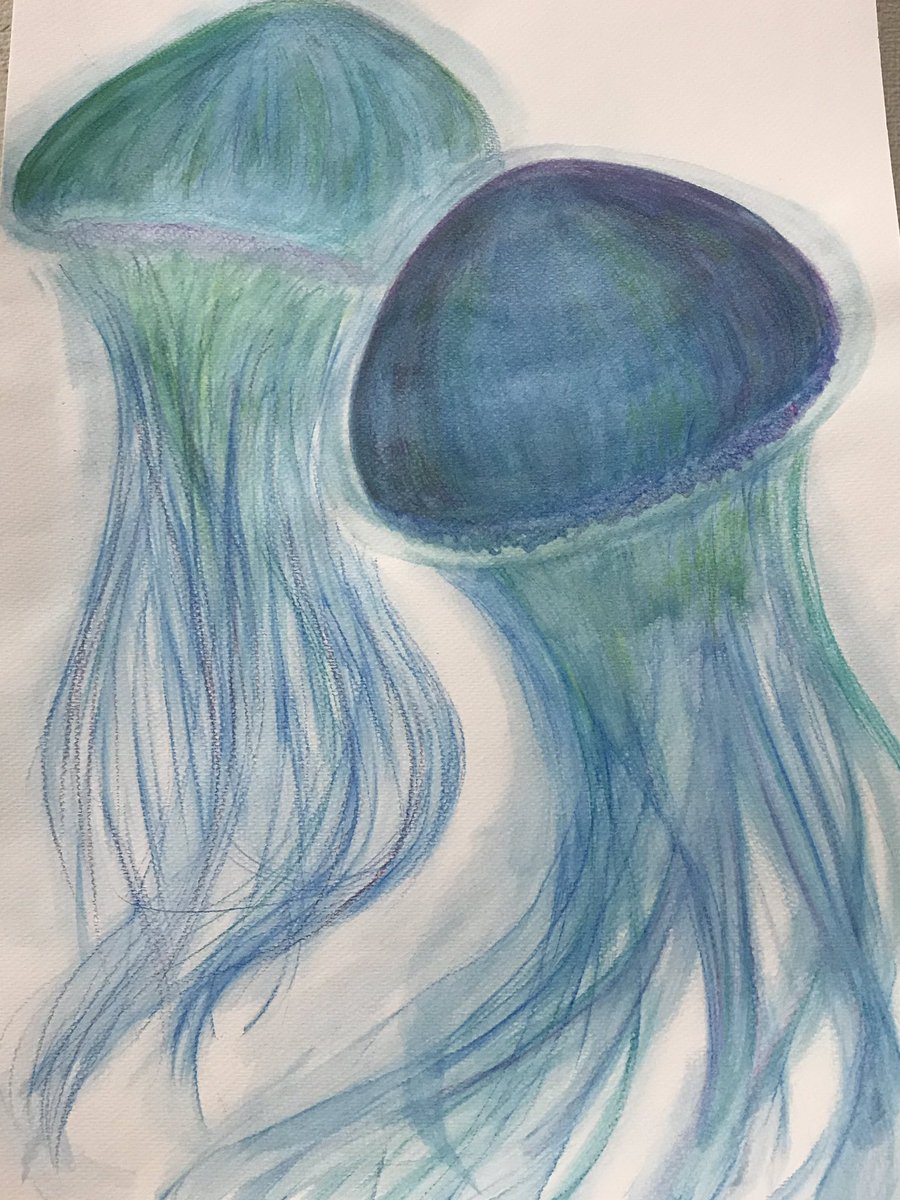 Dianne イラスト色鉛筆画 チョークアート 看板 V Twitter 海月2体仕上がりました フワリフワリ気持ち良さそうです 海月 クラゲ くらげ ミズグラゲ 色鉛筆画 海の生き物 青い世界 海の色 イラスト 海月イラスト いろえんぴつ 色鉛筆 神秘的 神秘的な絵