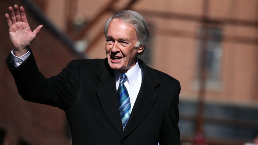 ed markey as pandas: a thread