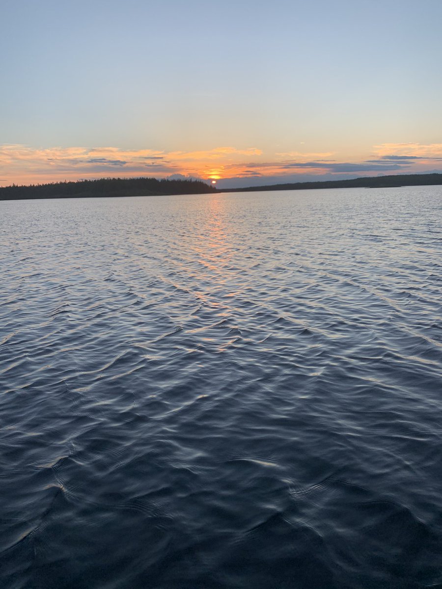 ShuteNeil's tweet photo. Fantastic evening at Indian Bay. #trouting https://t.co/aapglcqkPT