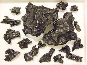 ロシア横断 歩行演劇mission B ヤゴドニ ピロ グというものがあると聞き てっきりアム ル対岸への渡し舟のことかと思ったら木苺のパイのことだった T Co Unlofo3okf T Co Pp3zivucu1 Twitter