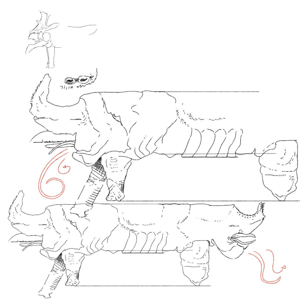 For instance (I’m using some of my creatures). These guys developed “eyes” and “legs”, however their structure and the way they work is unlike that of, say, a tetrapod.