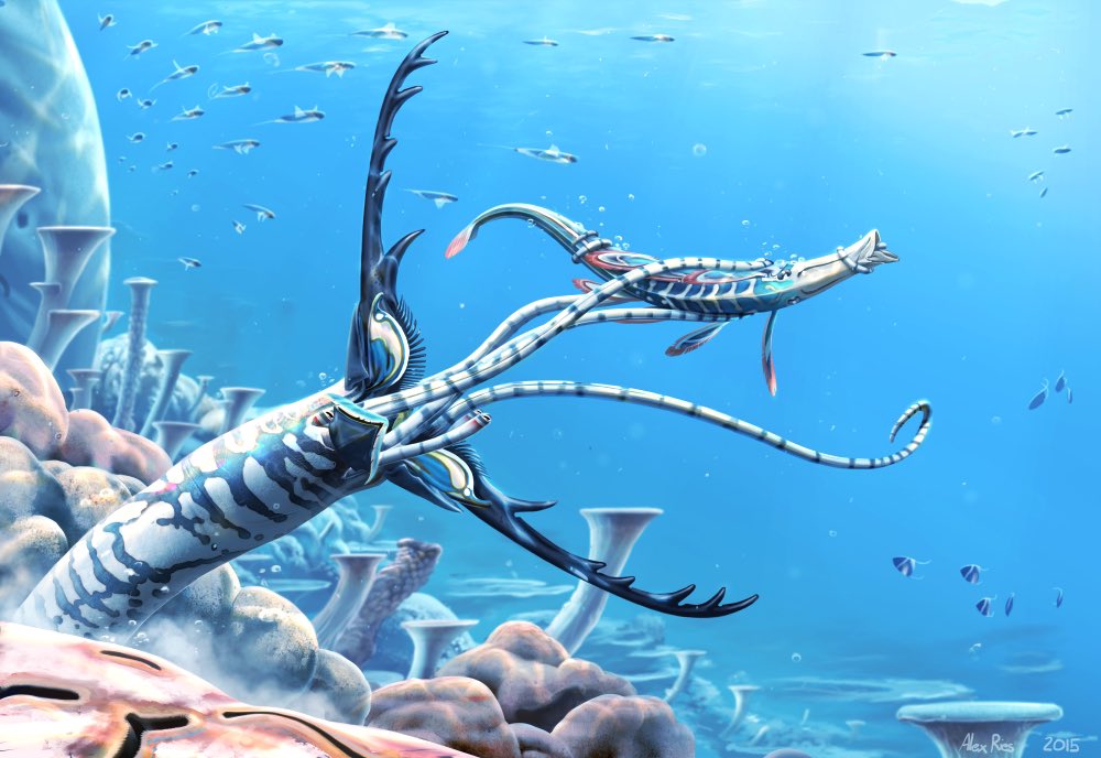 Note some of the similarities with organisms on earth, however them still being unrecognizable to Terran life