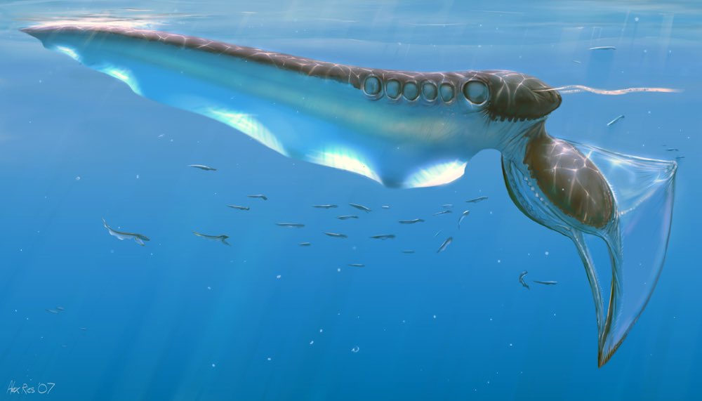 Note some of the similarities with organisms on earth, however them still being unrecognizable to Terran life