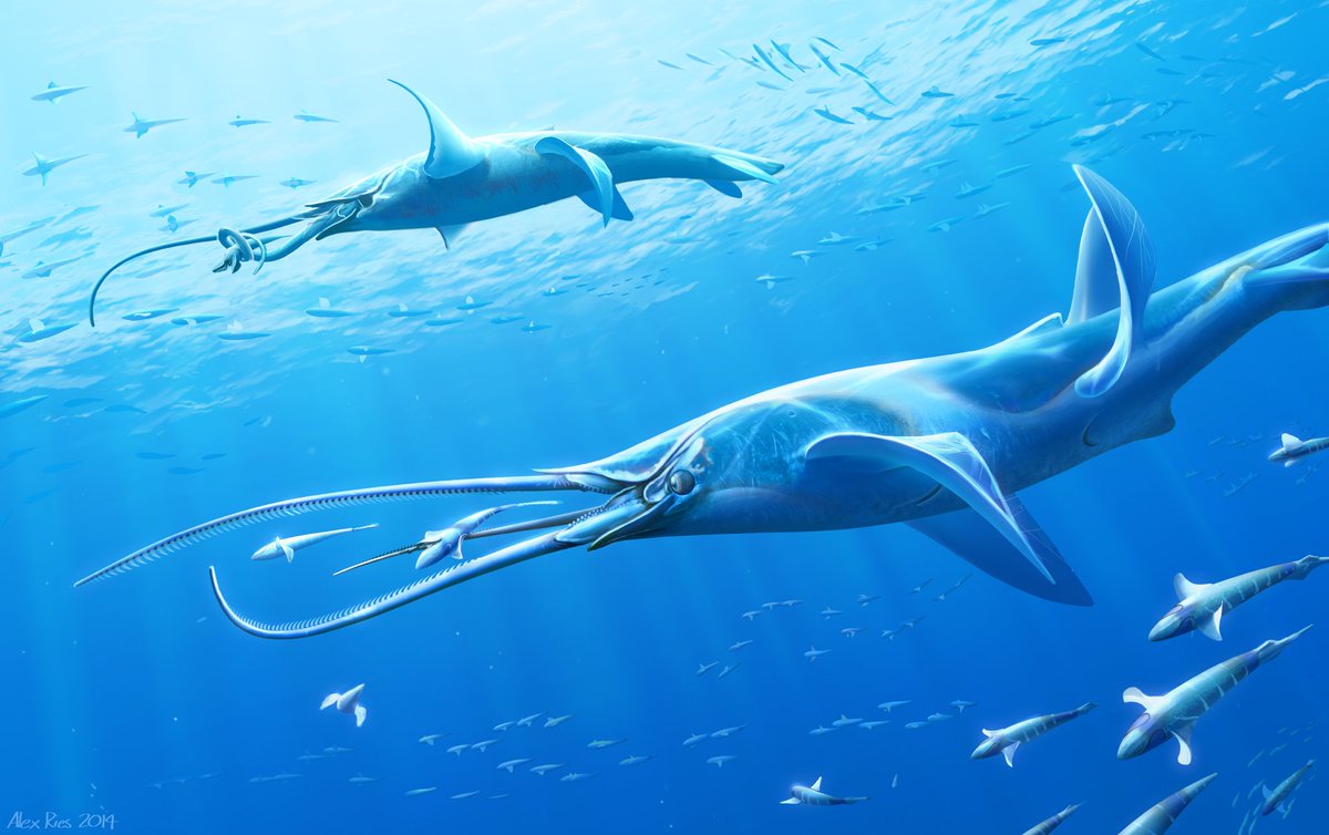 Note some of the similarities with organisms on earth, however them still being unrecognizable to Terran life