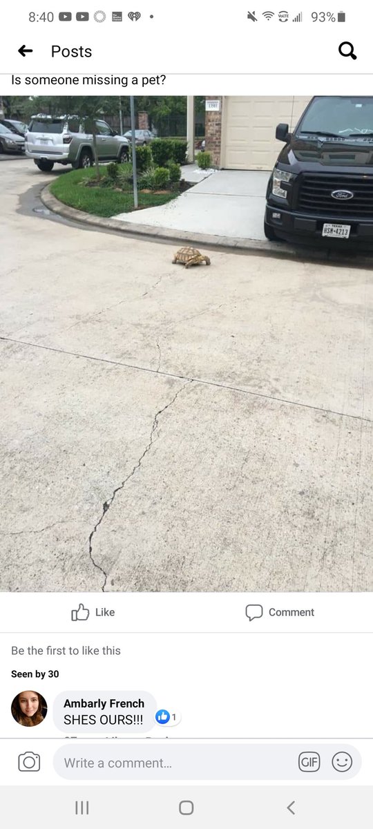 FrenchLott's tweet photo. That feeling when you get a notification from your neighborhood facebook group and it's a picture of your tortoise (who you put in the backyard that afternoon) wandering the streets. 🤦♀️ #BadTortoise #SomeonesGrounded https://t.co/dxy3wC6dUv
