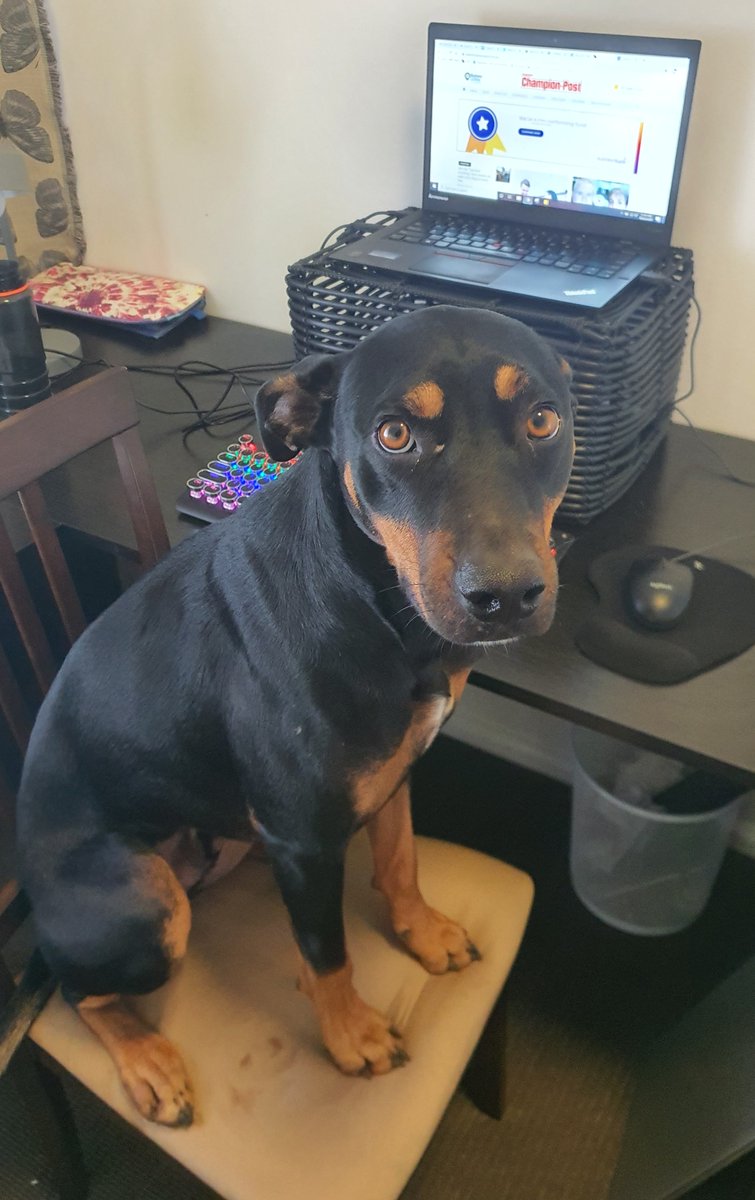 Parkes Champion Post tweet media