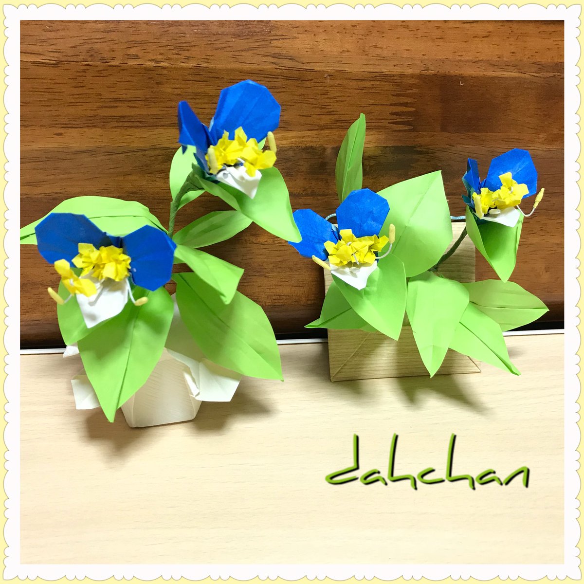 だ ちゃん Dahchan 創作折り紙作家どす みんなのsnsなんでも展示会 折り紙作品です 創作 いろいろ作ってますが花でまとめてみました 花は80くらい創作してますのでこちらのはほんの一部です 折り紙 パンジー ビオラ ツユクサ アネモネ