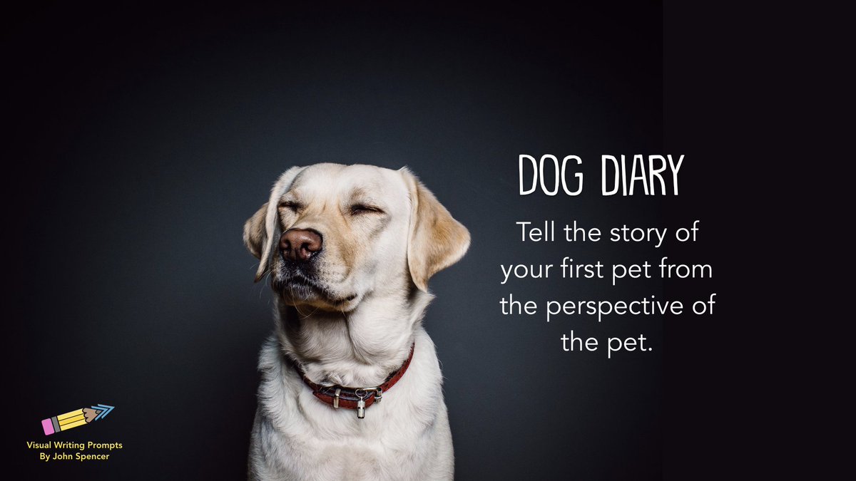 Author Solange Ritchie tweet media