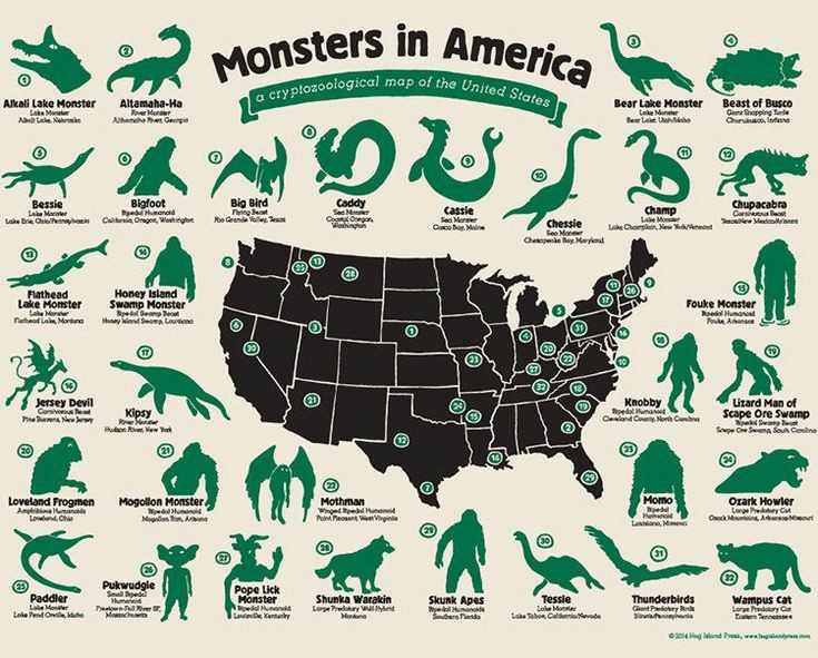 Mythology_Chnl's tweet image. Monsters in America #USA 🇺🇲