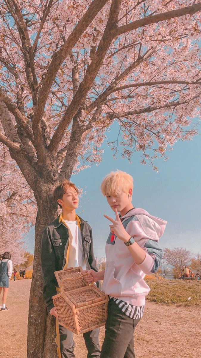 brightechan's tweet photo. Ga ngerti lagi ma jalan pikirannya para sasaeng, member nct di gangguin semua.. Blom puas apa mereka liat idol uda tertekan, si sasaeng gatau dirinya ngeganggu kehidupan pribadi mereka pula,,

Plis dah otak mereka dimana si woyy, sumpa pen nangiss😭
#PROTECTCHENLE
#PROTECTJISUNG https://t.co/LDoP6zZ3RA