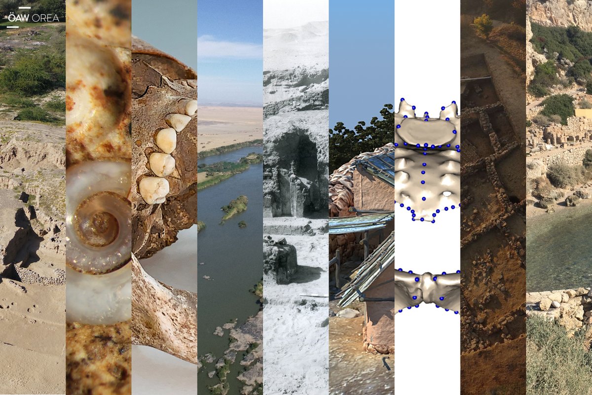 orea_news's tweet photo. As you will have to wait until autumn for #OREA #electures to continue, find all episodes of season 1 right here:
https://t.co/MEQSWpGGNG https://t.co/7LmcVXStFj