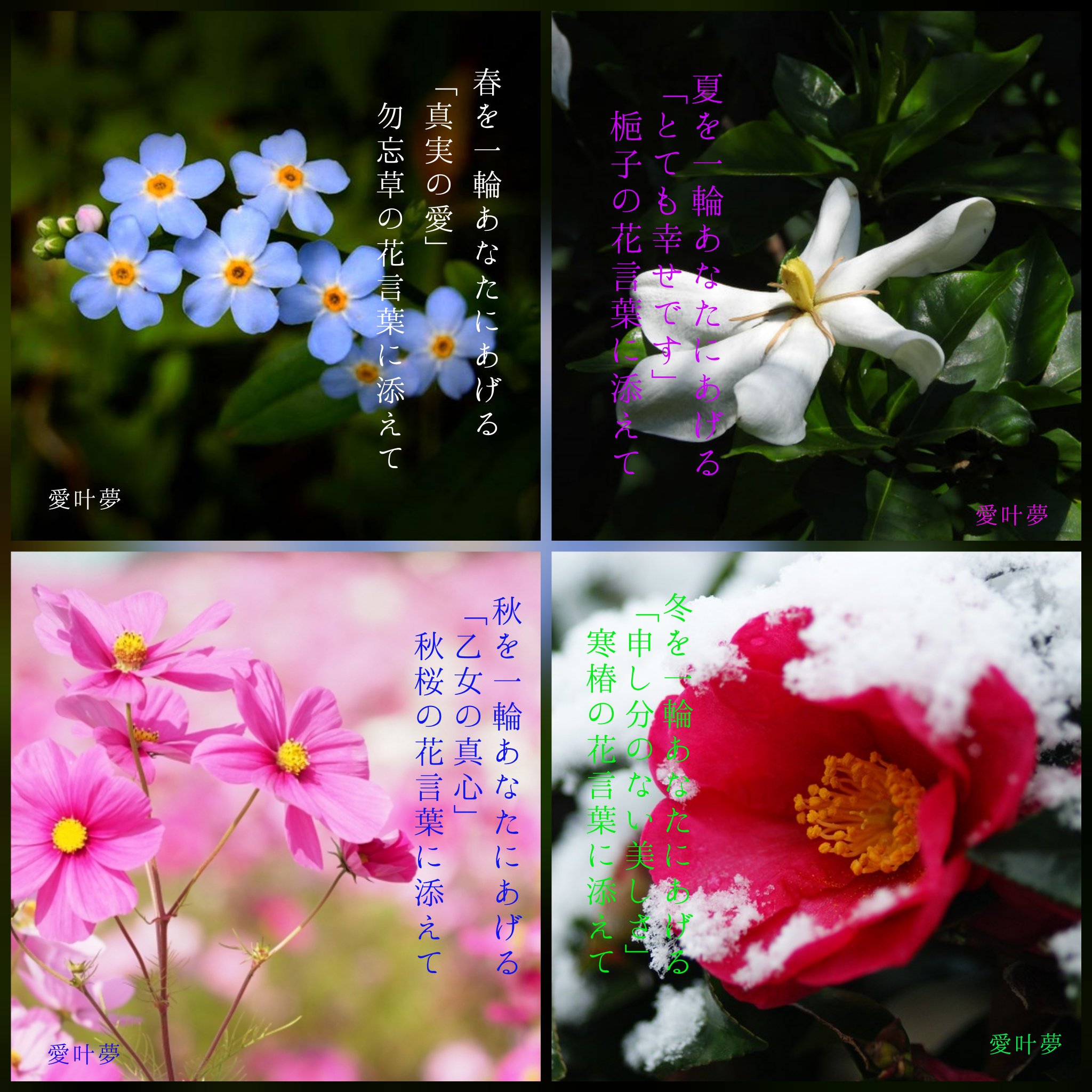 愛叶夢 Atom 花様年華 春を1輪あなたにあげる 真実の愛 勿忘草の花言葉に添えて 夏を1輪あなたにあげる とても幸せです 梔子の花言葉に添えて 秋を1輪あなたにあげる 乙女の真心 秋桜の花言葉に添えて 冬を1輪あなたにあげる 申し分のない美しさ