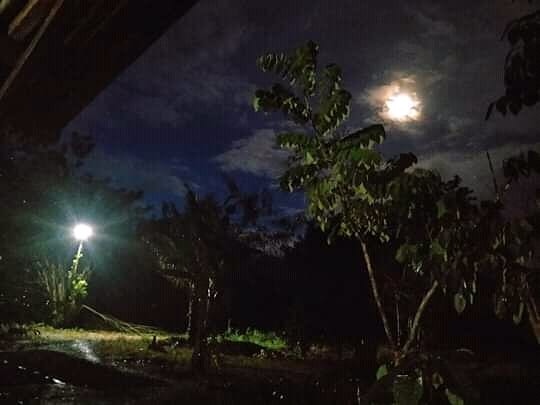 Tivatimur's tweet photo. Dinda, jarak mengajarkan kita tentang cinta dan kesetiaan..
⚘⚘ https://t.co/z5qmmryPDG