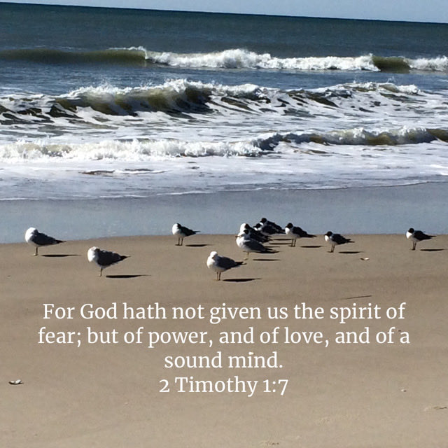 macspudge's tweet image. bible.com/1/2ti.1.7.kjv