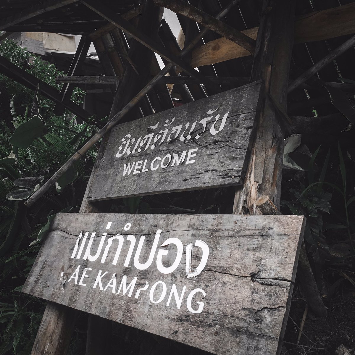 snttnss's tweet photo. • 23-26 / 06 / 63 •

เที่ยวเชียงใหม่หน้าฝน ก็ฟินได้เจ้าา 🌧❣️

สำหรับใครที่ชอบท่องเที่ยว แต่ไม่ชอบคนเยอะๆ ช่วงฤดูนี้เหมาะมากเลยค่ะ

#ปล.เป็นครั้งแรกของน้องกับการรีวิวทริปฮ่ะ 
👉🏻 ไปตามได้ที่ FB: Tata snt https://t.co/7VfyKl2xo2