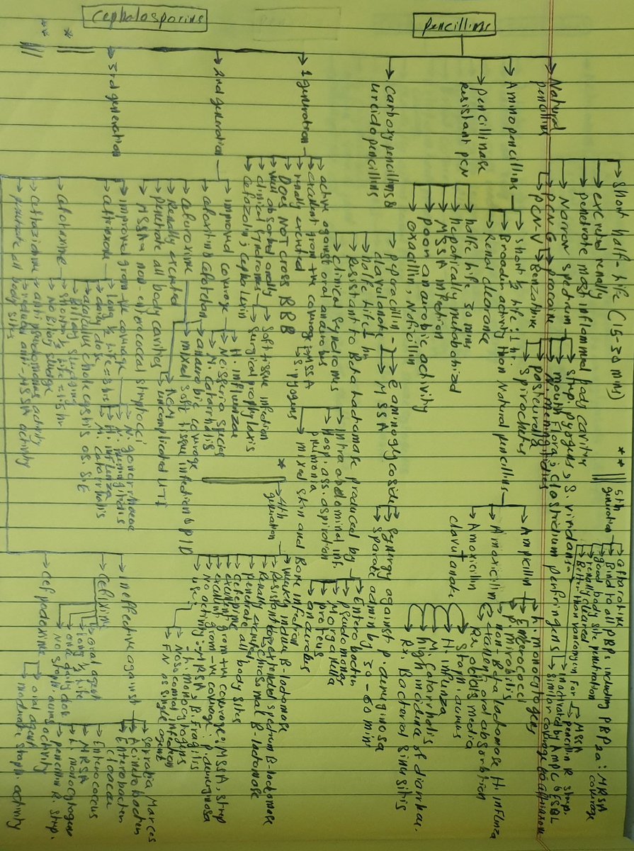 drHilalHashami's tweet photo. Antibiotics classes:pencillins and cephosporins
#medical_note
#antibiotics https://t.co/5zr7aLe40I