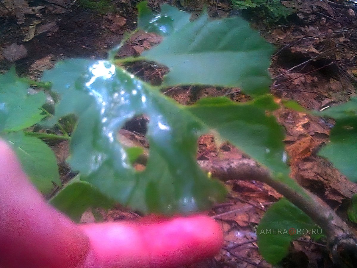 Мужские игры в парках #04 (FULL + HD)

mega.nz/file/vlUzlK4T#…
Понравилось? Подписывайся и наслаждайся!
Wanna see more? Follow and enjoy!
- - - <a href="/camera_ru/">camera@ro.ru</a> - - -

#spycamera #spy #gayspy #manspy #cameraro #gayvideo #gaypark #cruising #gayrussia