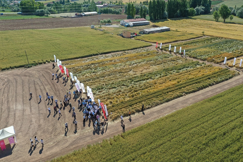 "Terimizin Her Damlası Feda Olsun Bu Topraklara"
➡ “YERLİ VE MİLLİ TOHUMUN ULAŞMADIĞI ÇİFTÇİ KALMASIN” PROJESİNİN TANITIMI KAYSERİ’DE YAPILDI 

➡ #tagemsahada
➡ #tagem #arge #inovasyon
➡ <a href="/TCTarim/">T.C. Tarım ve Orman Bakanlığı</a>
➡ <a href="/bekirpakdemirli/">Dr. Bekir Pakdemirli</a> <a href="/mustafaaksutr/">Mustafa Aksu</a>