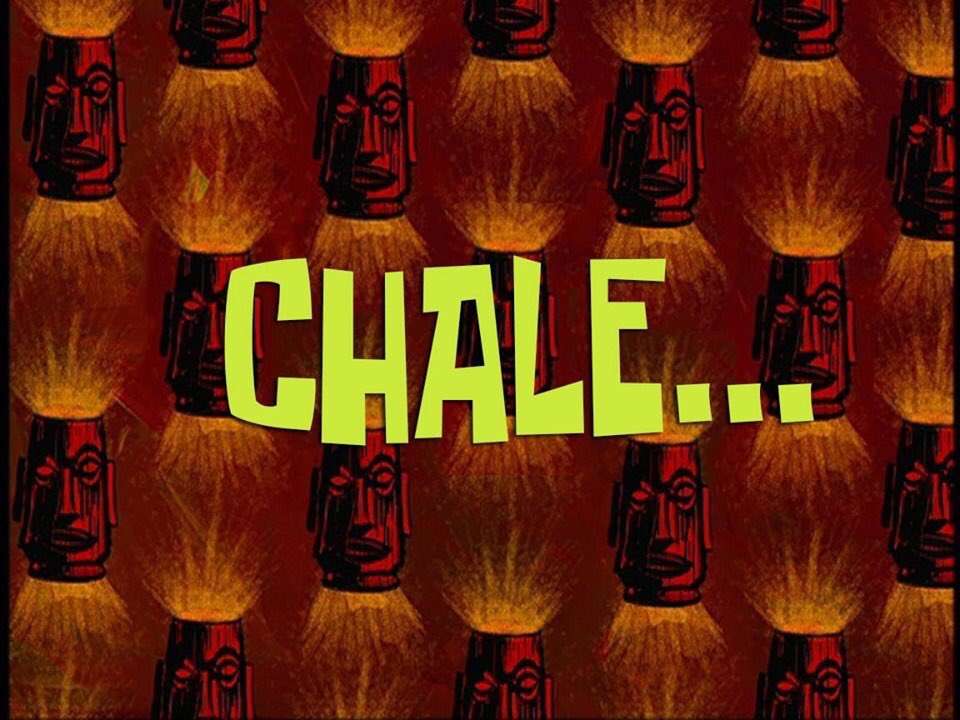 Gato Fenomeno (@mrfreakphoto) on Twitter photo 