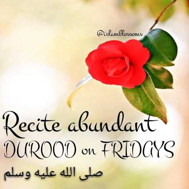 islamblossoms's tweet photo. #jummah #alhamdulillah #nabi #jummamubarak #surahkahf #durood #friday #quran #salaah #duas #Allah #istighfar #ilm #islamicquotes #instaislam  #flowerislampics #imaan #islamblossoms #islampics #islamicreminder #instaislam #wayoflife #instamuslim #halalquotes #Muhammadﷺ https://t.co/Jun4BBGt93