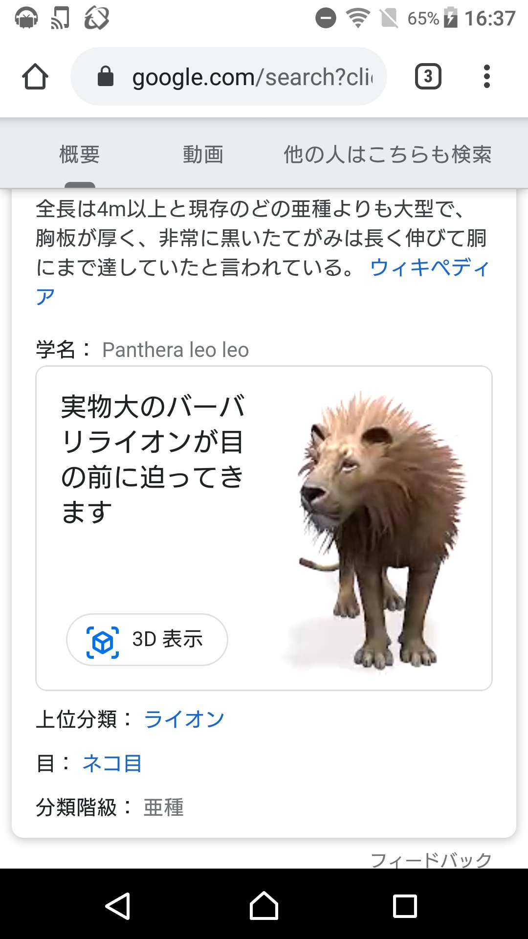 たかしば グーグル先生にバーバリライオンのこと調べてもらったら3d表示とかいうのが出てきた そんな素晴らしい機能いつの間に出来てたんだ たかしば グーグル先生にバーバリライオンのこと調べてもらったら3d表示とかいうのが出てきた そんな素晴らしい機能いつの間に出来てたんだ
