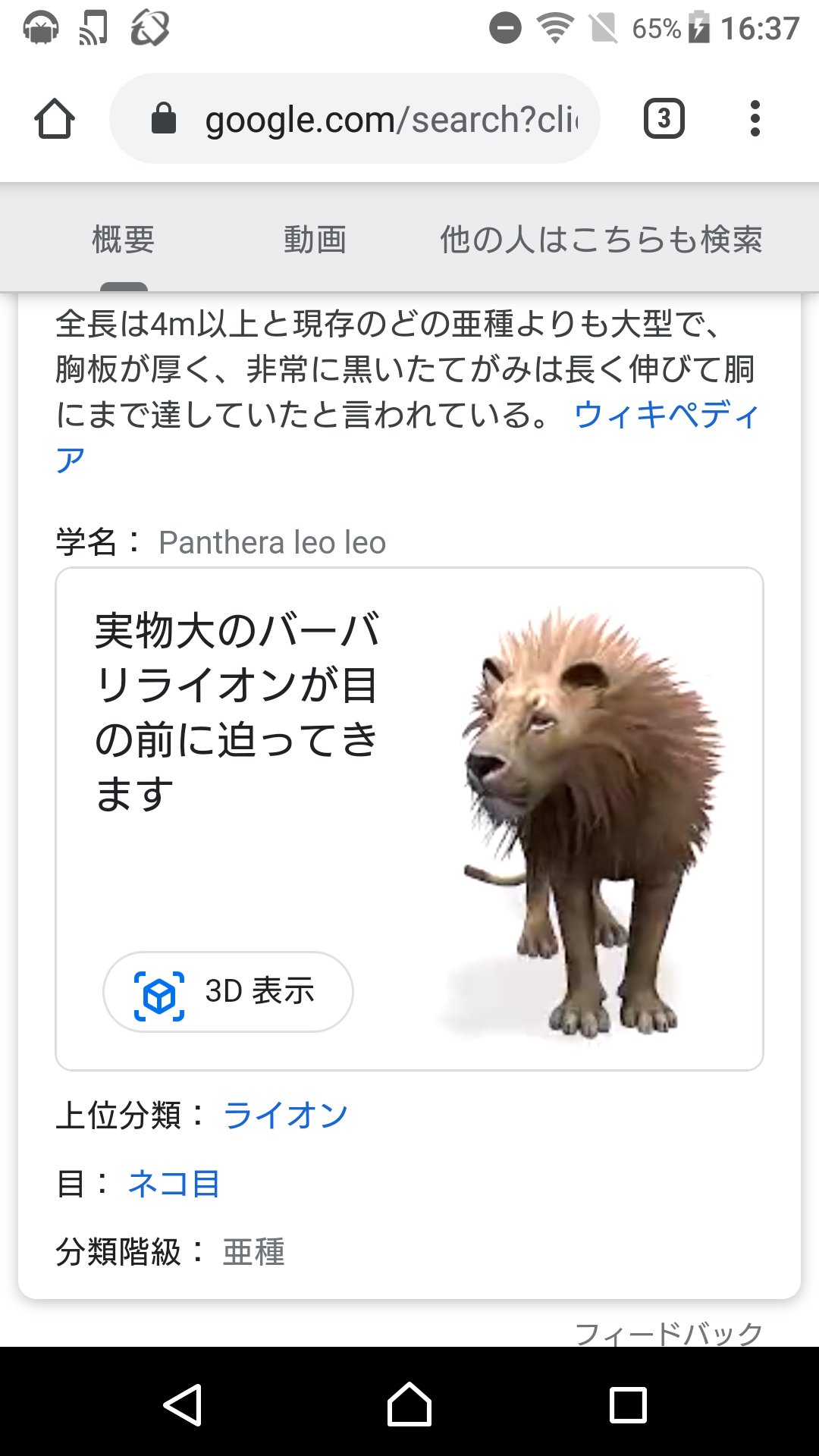 たかしば グーグル先生にバーバリライオンのこと調べてもらったら3d表示とかいうのが出てきた そんな素晴らしい機能いつの間に出来てたんだ T Co Fk9gteofws Twitter