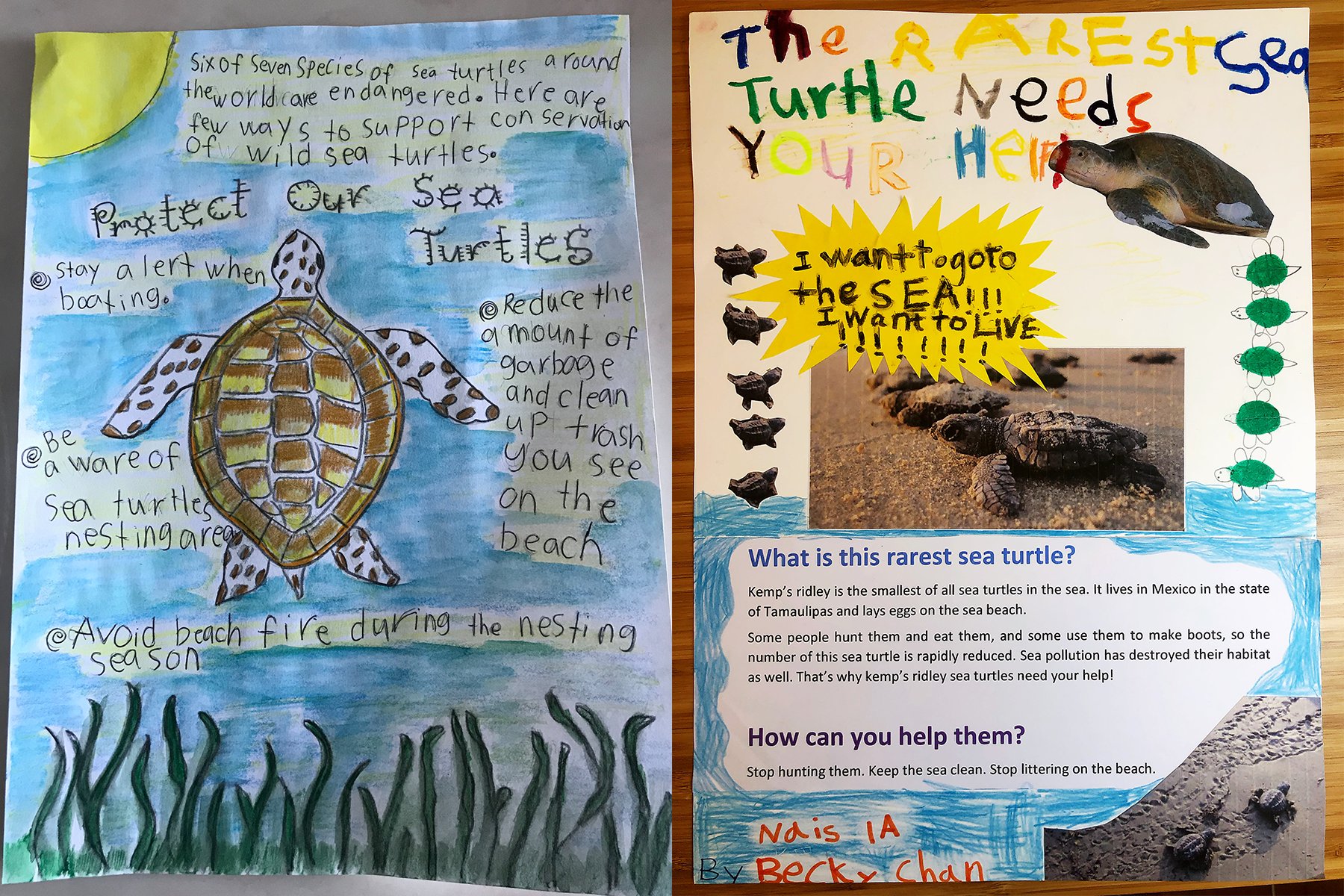 Endangered Animals Poster Endangered Animals Poster