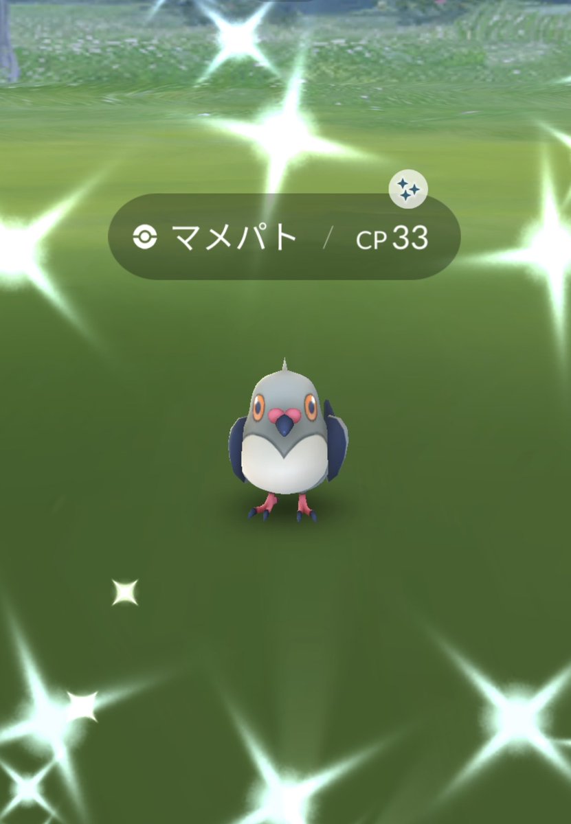 エル ポケモン垢 キバナ推し 色違いのマメパトゲット こんなに早くゲット出来るなんて だったから も欲しい所 あとラクライ100 も W ポケモンgo 色違いポケモン