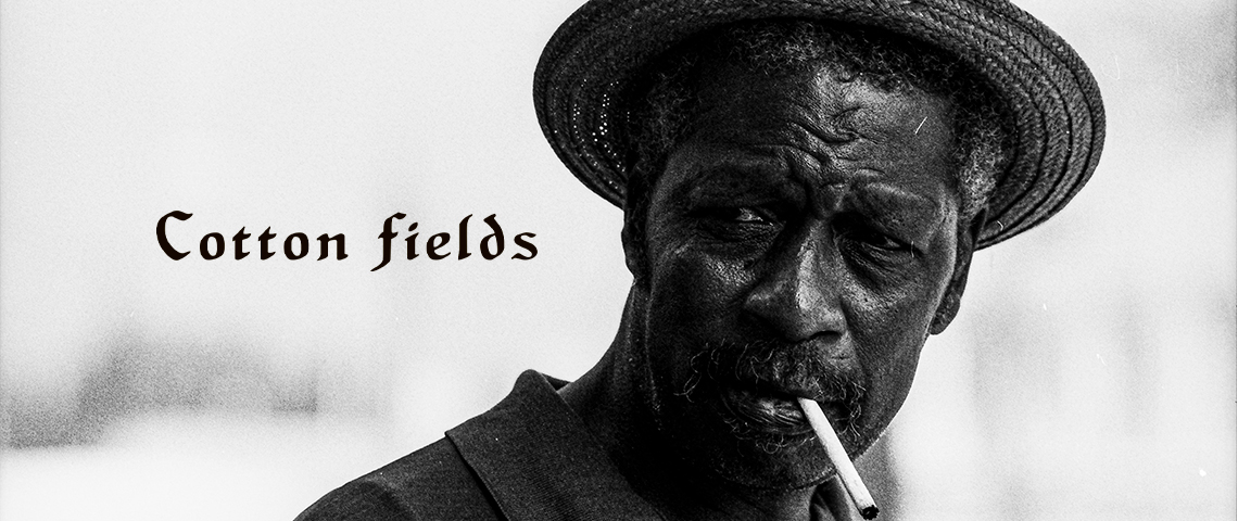 warpweb's tweet photo. 長濱治✖️ピーター・バラカン
『Cotton Fields』発売記念トークショー開催！
ブルーズを仕事へ昇華させたピーター・バラカンと旅に出た長濱治のトークショーがBAG ONEとオンライン配信にて開催。ピーター・バラカンのDJあり！https://t.co/ZQZKYhPEHd
チケット購入：https://t.co/zwyixhnxvD https://t.co/91vsA07E6S