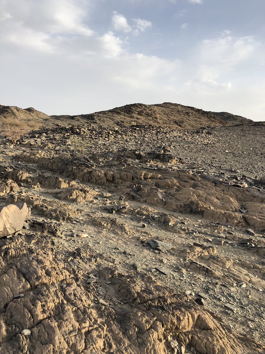 وقفات مع ارجوزة الرداعي(٥)
٣-ضهاء وهو وادي يسيل من اعالي جبال الجثة ويصب في وادي تربة حيث يضيق من اعلاه وبه اعلام كثيرة تدل على طريق الحاج كذلك يوجد به علامات على شكل ردم يقال انها لغزو من قبائل الجنوب وهذه العلامات تدل على موضع القتلى من القبيلة حيث يسمى عند العامة(ضها ابو ردم)
