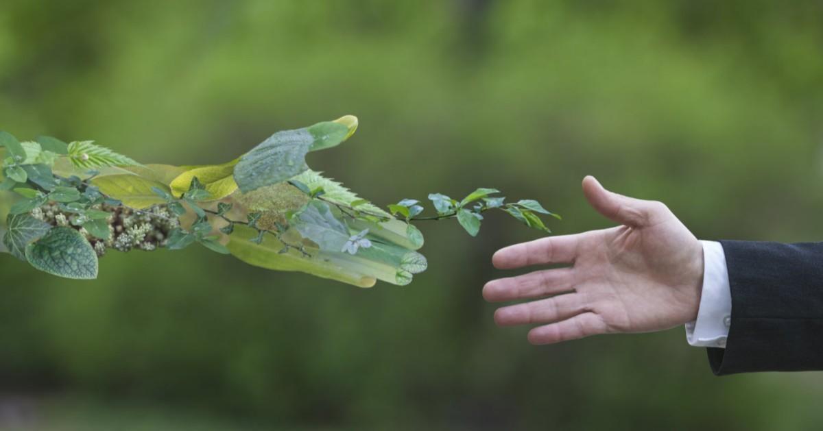 We take our commitments to our customers, staff and the #environment very seriously and ensure that we put in place procedures to meet our obligations. View all our #certification here http:/https://t.co/z0ycl6ROaA https://t.co/mGXdaiA9Yj