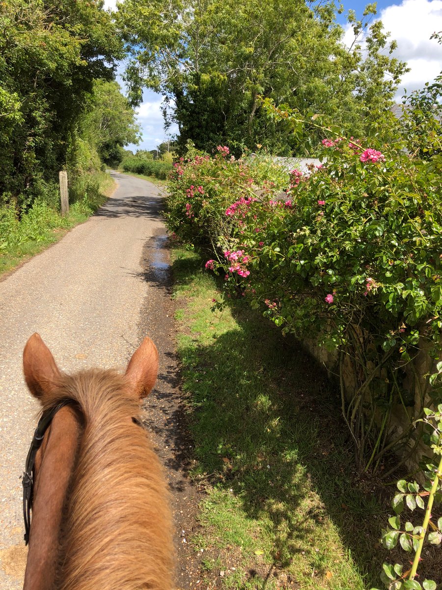 MrsKStant's tweet photo. Great excuse to get out and about on Berrie. Our day 1 contribution of 2.8km to the #ArkSportsDayChallenge https://t.co/auSR9nGaHe