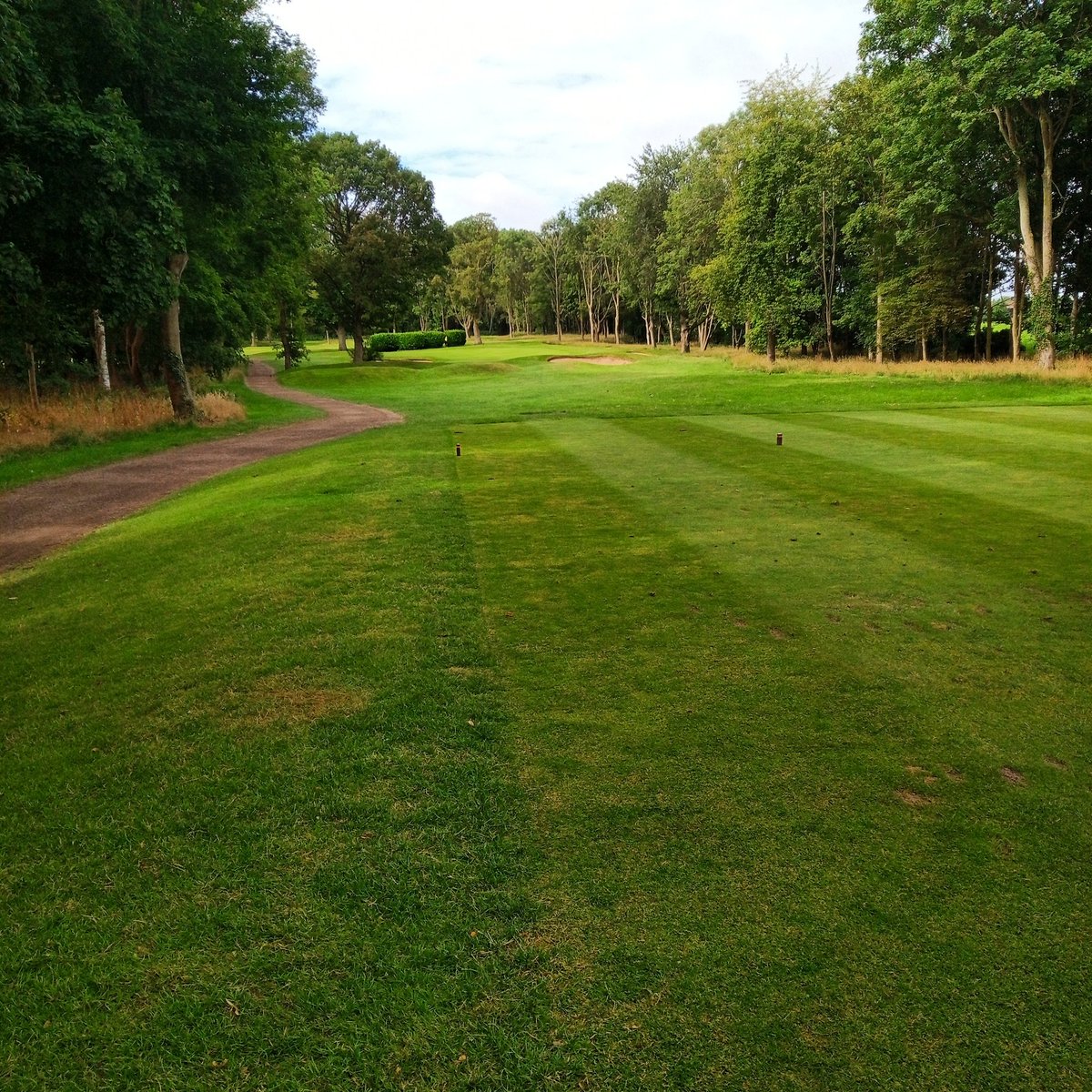AliceBarlow98's tweet photo. Today's a mixed tee kinda day. 🏌️3 holes off of White's, then switch to 1 hole off of Reds and repeat. Allows you to course manage correctly and keeps the brain active. 
#golfing #golf #oncoursepractice https://t.co/hO4CDTUQ7L