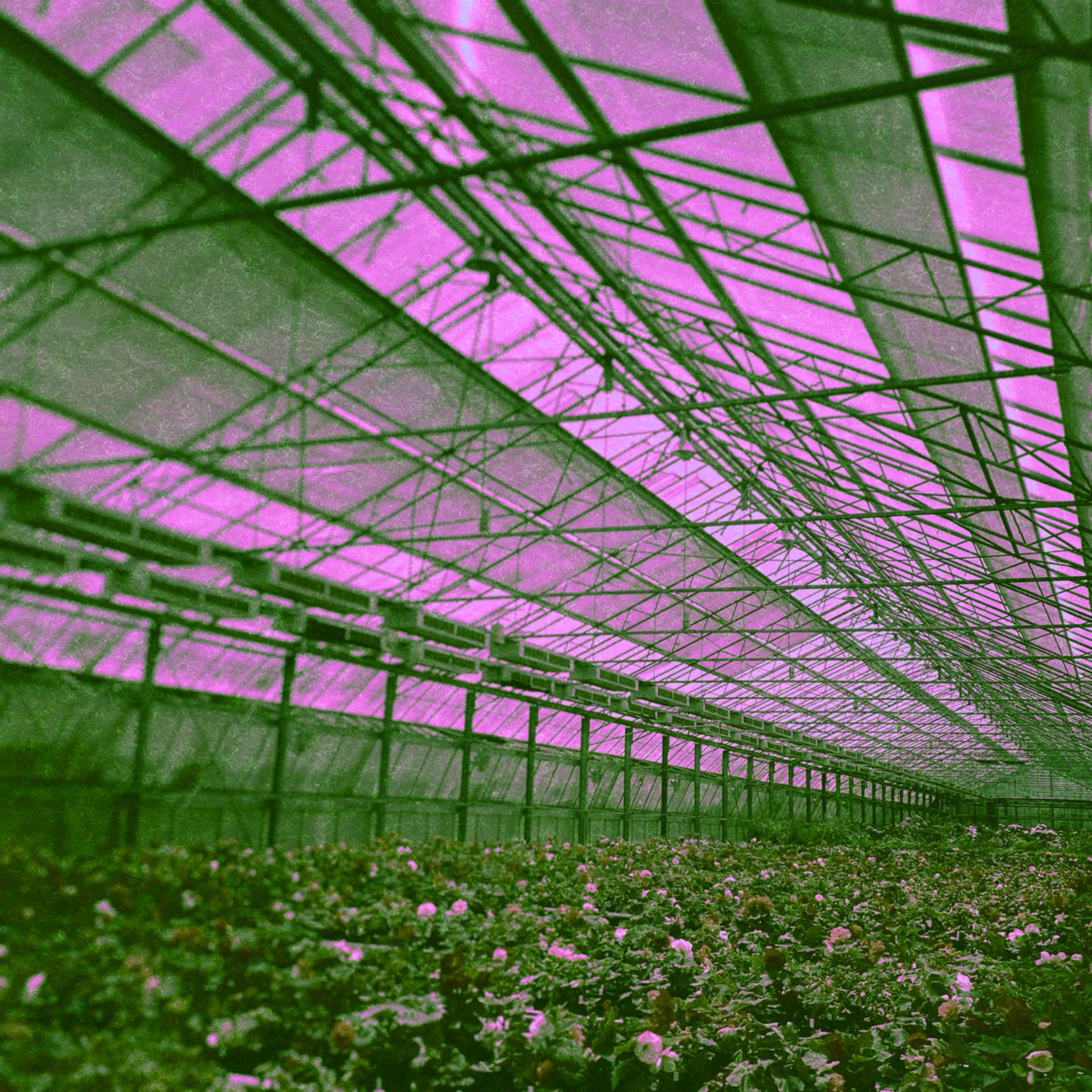 7月のBandcamp Friday!
先ほど34分の新しいアルバムをアップいたしました。ぜひ聴いてみてください。
atsukohatano.bandcamp.com/album/fruitles…