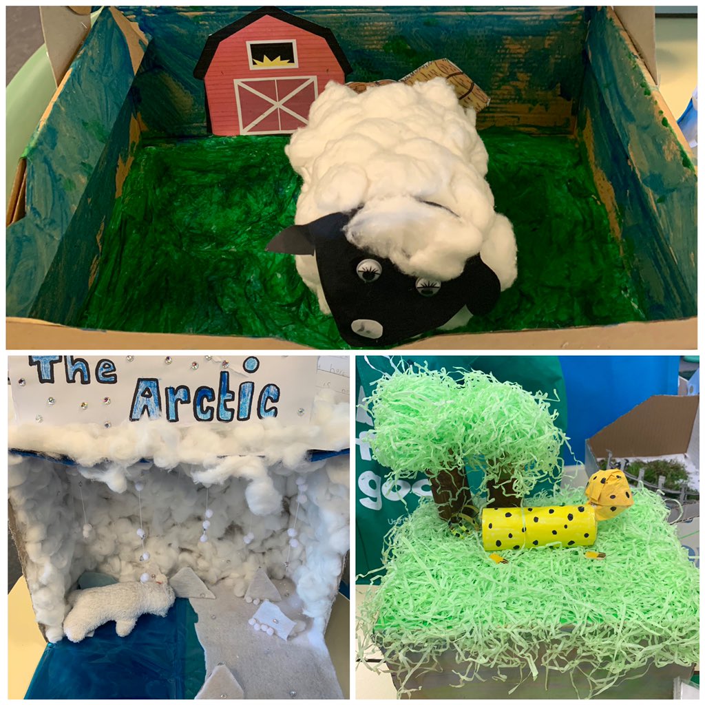 Well done to 1M students for their well thought out and presented Science projects! 🐧🐶🐼🐨🐑🐆🌻<a href="/IngleburnPs/">Ingleburn PS</a>