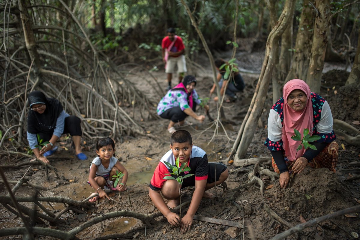 #ClimateAction is urgently needed to ensure healthy lives, societies & planet @JoinUN75 🔗bit.ly/2ApgyxD #SolidarityinAction #ShapingOurFuture #UN75 #ForPeopleForPlanet #SDGs #GlobalGoals