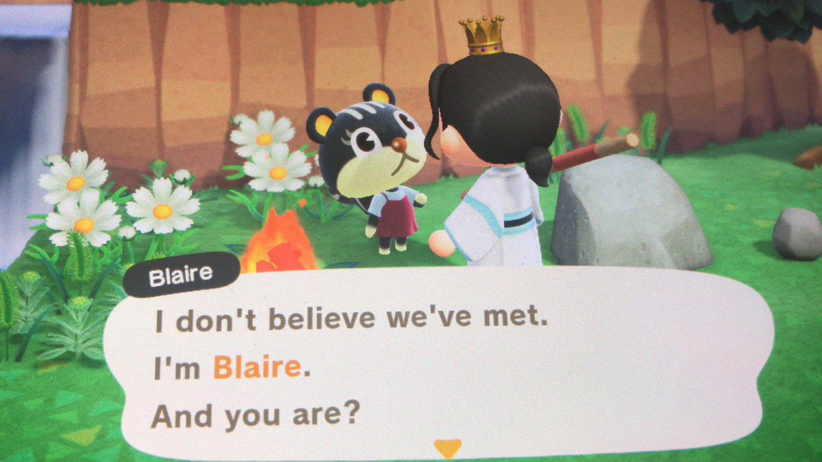 MangoAcnh's tweet photo. my first nmt and.... this absolute baby.... but I already have mint as a snooty squirrel I’m so sorry blaire 😭😭 https://t.co/eF1RQn08xI