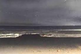 Wilbert Leering tweet media