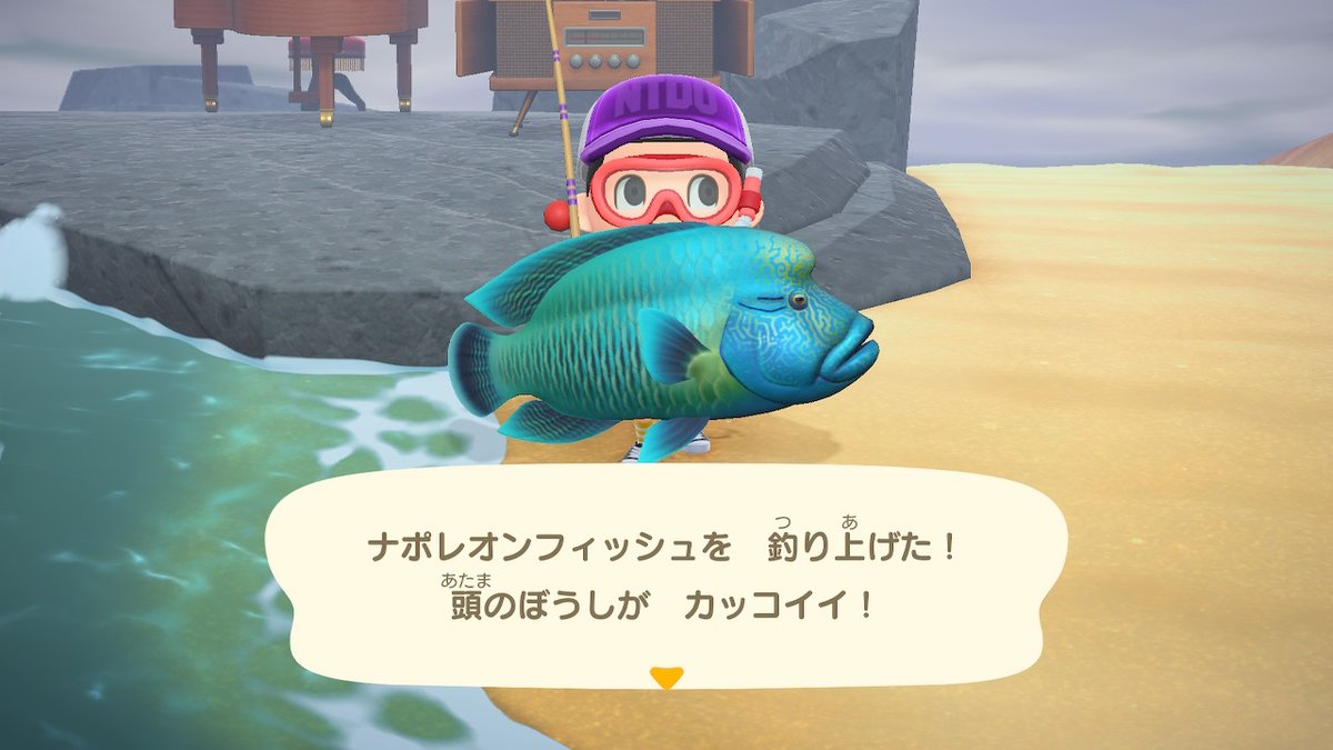 ট ইট র Slk55amg Kir Spl Ac From Pom Tako Island そしてその後の成果 遂にナポレオン来た どうぶつの森 Animalcrossing Acnh Nintendoswitch あつまれどうぶつの森 あつ森 どう森 ナポレオンフィッシュ アコヤガイ ガザミ ワカメ 真珠の元