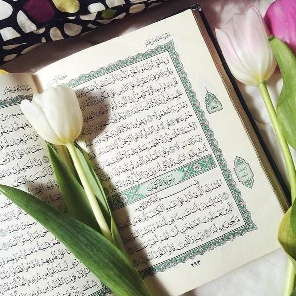 -
قال الضياء المقدسي:
أوصاني شيخي العماد المقدسي فقال: 
أكثر من قراءة القرآن ولا تتركه،فإنه يتيسر لك الذي تطلبه على قدر ما تقرأ.
فرأيت ذلك وجربته كثيراً،فكنت إذا قرأت كثيراً ؛  تيسر لي من سماع الحديث وكتابته الكثير، وإذا لم أقرأ لم يتيسر لي . 

#هاتفك_بركة