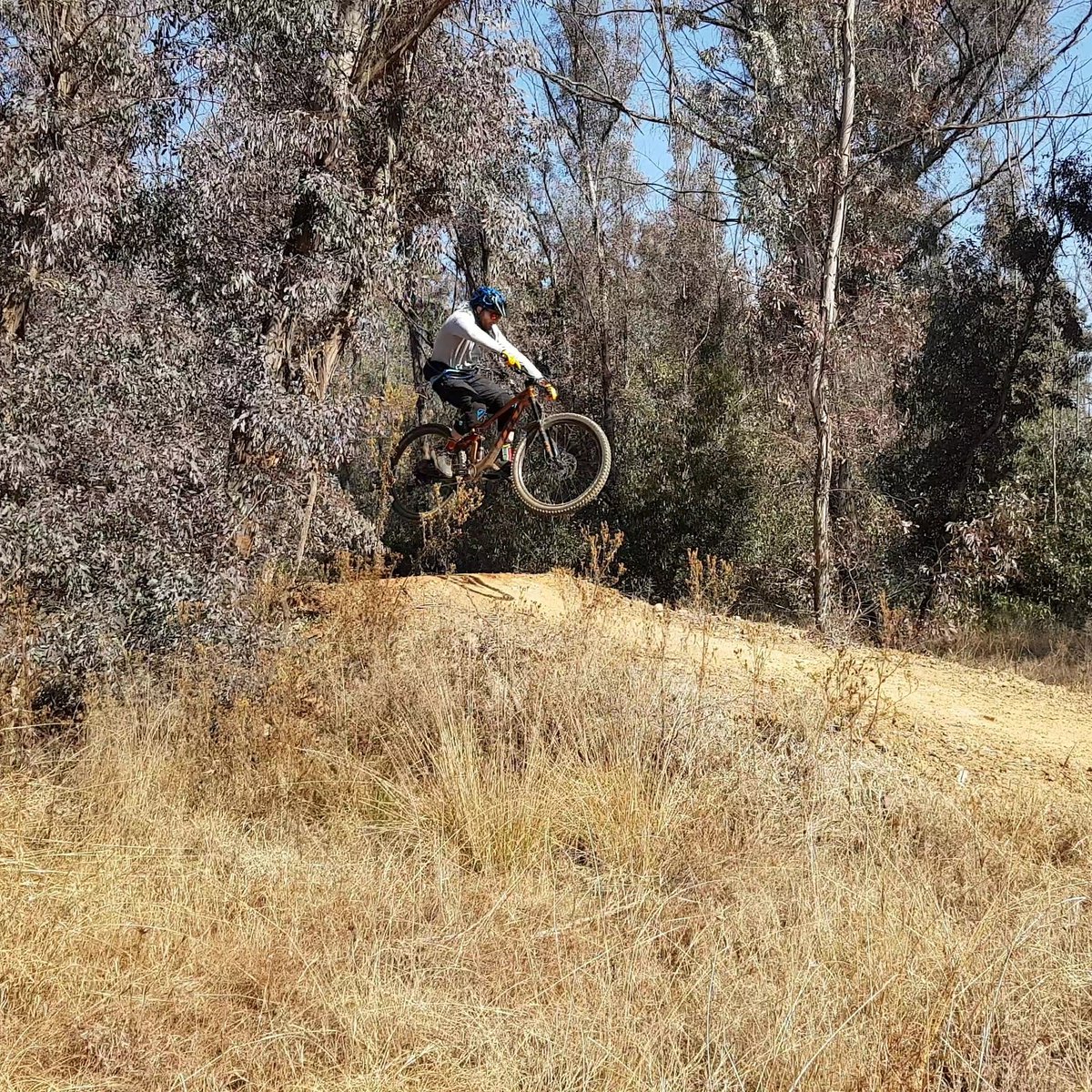 Flying squirrel 🐿️ #happyriding #friday #thebigredbarn #flowline #mtb #mountainbikingservice #mountainbiking #mtblife #scottbikes #trails #fox #7idp #rcconcepts #dirt