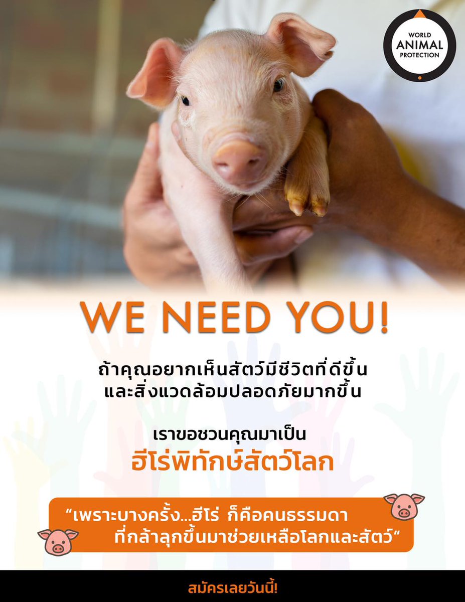 chokdeesmith's tweet photo. รับสมัคร ฮีโร่พิทักษ์สัตว์ (อาสาสมัคร) มีกิจกรรมหลายแบบตามที่ถนัดและว่าง มาช่วยกันทำให้โลกนี้ดีขึ้นกันครับ :)
รายละเอียดเพิ่มเติม https://t.co/aqtc5FvY1p https://t.co/rzG9xaOqeU