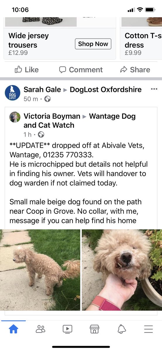 Just seen on facebook-SHARING @bertie_is @DoglostUK @pettheftaware @SAMPAuk_ @MissingPetsGB @petregister @PetsLocated